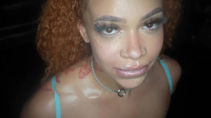 JAZZTHESTALLION